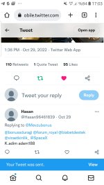 Screenshot_20221029-170336_Chrome.jpg