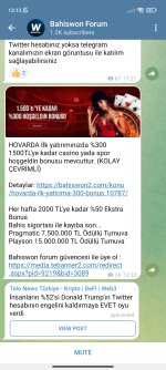 Screenshot_2022-12-23-13-13-33-380_org.telegram.messenger.jpg