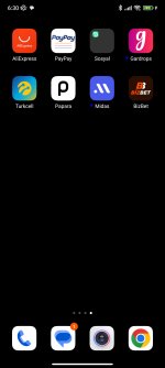 Screenshot_2024-01-14-06-30-29-895_com.miui.home.jpg