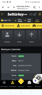 Screenshot_20240612-180123.png
