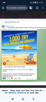 Screenshot_2024-07-30-06-18-24-330_com.android.chrome.jpg