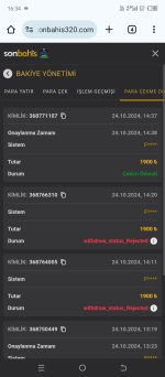 Screenshot_20241024-163421.jpg