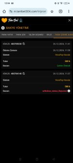 Screenshot_2024-12-26-12-04-57-64_40deb401b9ffe8e1df2f1cc5ba480b12.jpg