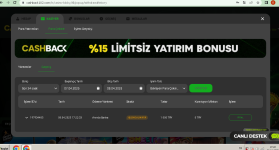casback2.PNG