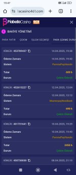 Screenshot_2025-04-14-19-47-56-197_com.android.chrome.jpg