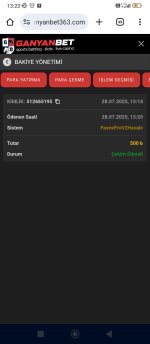 Screenshot_2025-07-28-13-23-44-987_com.android.chrome.jpg