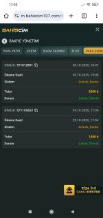 Screenshot_2025-10-31-17-30-26-628_com.android.chrome.jpg