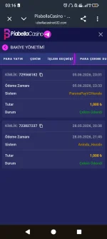 Screenshot_20260606-031654.webp