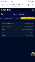 Screenshot_20260614-163318.webp