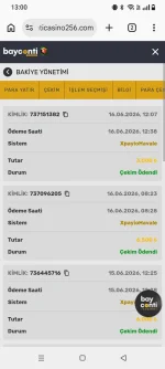 Screenshot_20260616-130002.webp