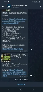 Screenshot_20220527-153250_Telegram.webp