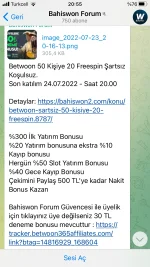 A293D34D-1583-4707-8D7B-DBDC52D57BD4.webp